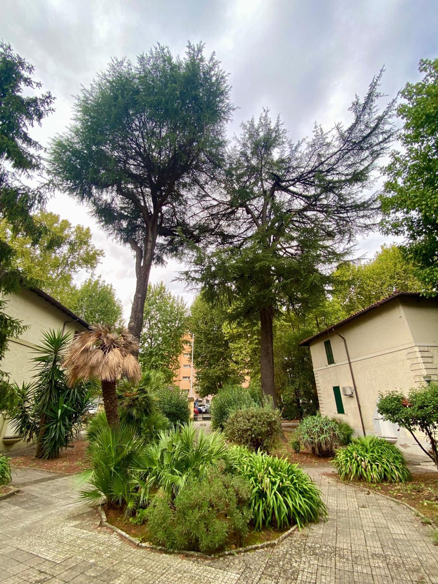 Apartamento A Casa Con Greta Roma Exterior foto